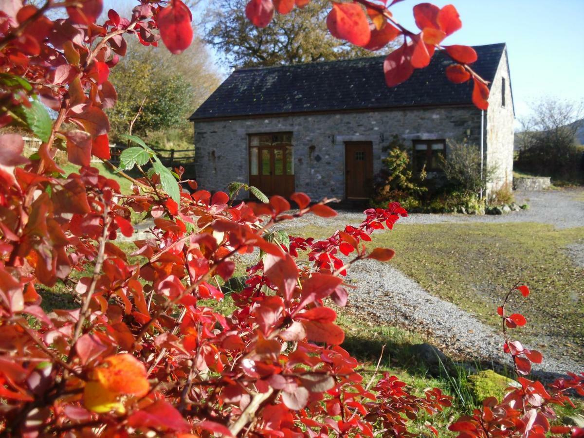 Villa Cae'R Beili Llandovery Exterior foto